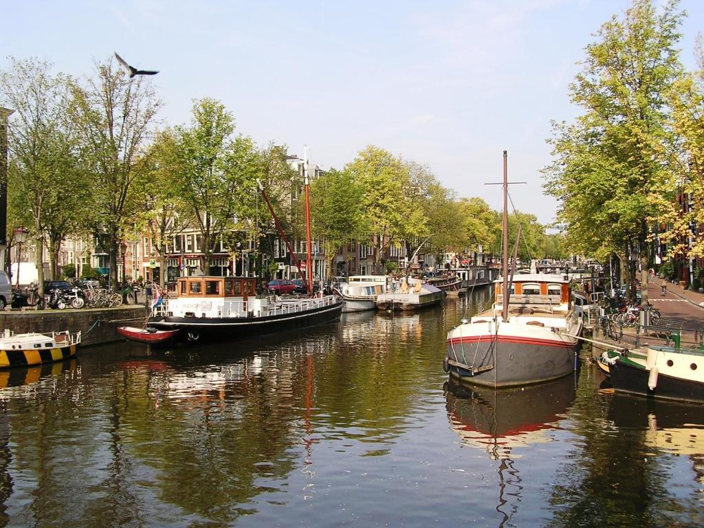 B&B La Festa Amsterdam Exteriör bild